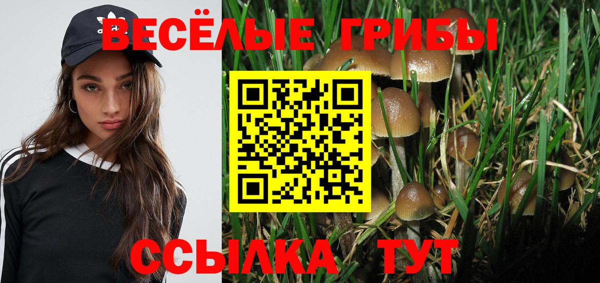 Псилоцибиновые грибы ЛСД Тимашёвск