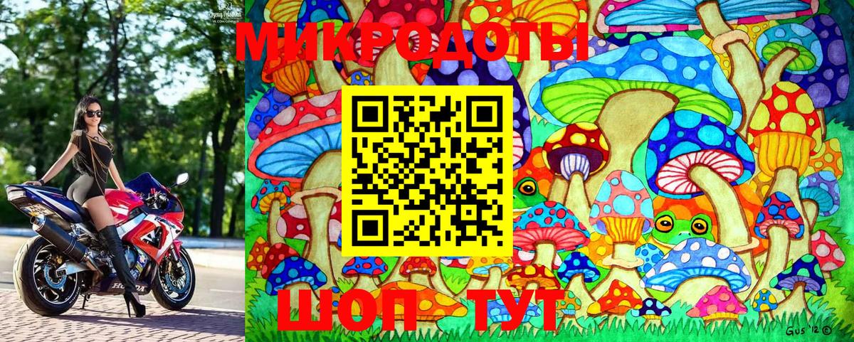 Тимашёвск  Галлюциногенные грибы MAGIC MUSHROOMS  Псилоцибиновые грибы MAGIC MUSHROOMS  Вход с VPN 